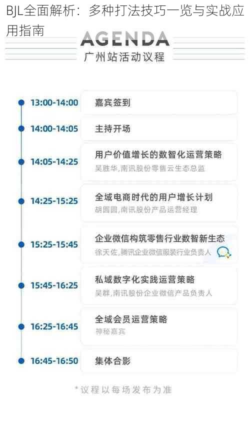 BJL全面解析：多种打法技巧一览与实战应用指南