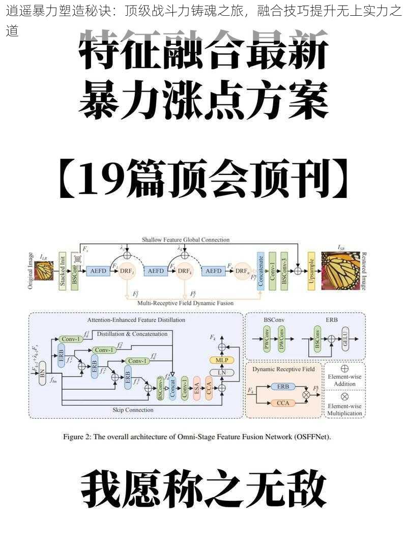 逍遥暴力塑造秘诀：顶级战斗力铸魂之旅，融合技巧提升无上实力之道