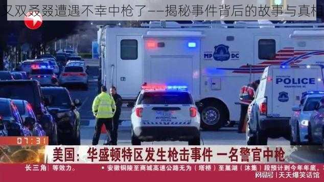 又双叒叕遭遇不幸中枪了——揭秘事件背后的故事与真相