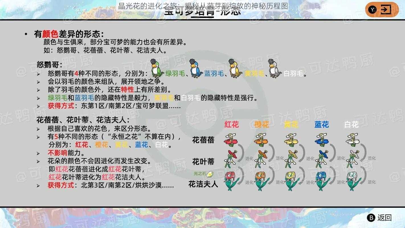 晶光花的进化之旅：揭秘从萌芽到绽放的神秘历程图