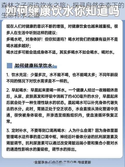 森林之子河边饮水之旅：探寻自然生态下的生命补水之道